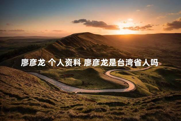 廖彦龙 个人资料 廖彦龙是台湾省人吗